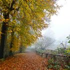 Herbst und Nebel 01