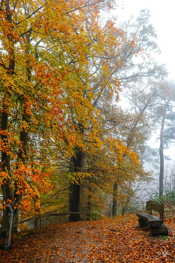 Herbst und Nebel 02
