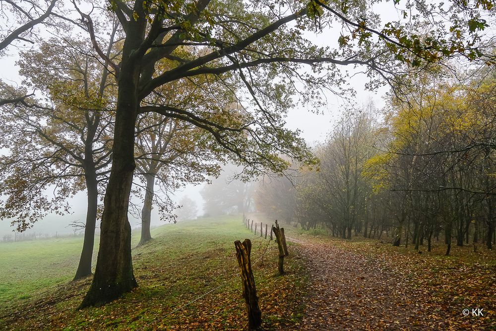 Herbst und Nebel 04