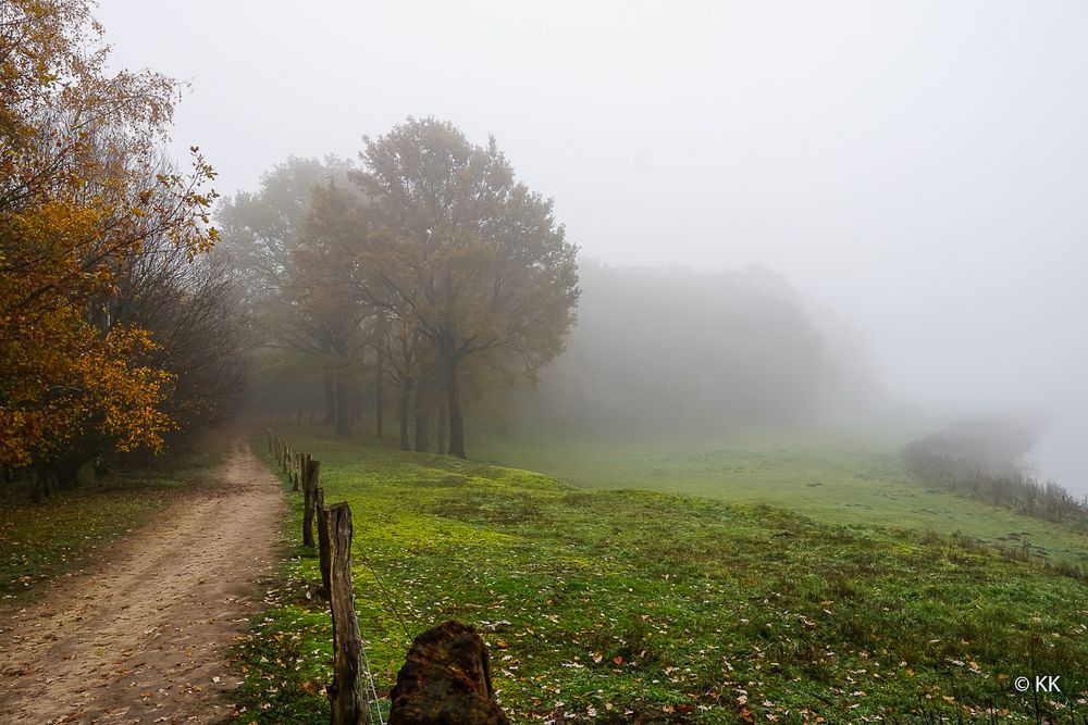 Herbst und Nebel 05