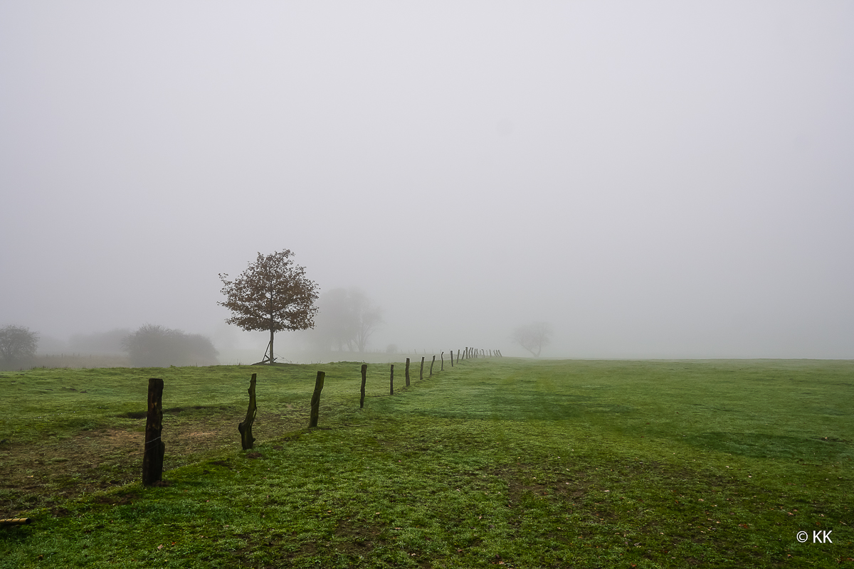 Herbst und Nebel 06