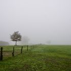 Herbst und Nebel 06