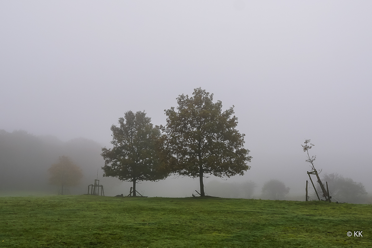 Herbst und Nebel 07