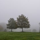 Herbst und Nebel 07