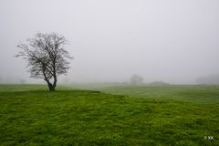 Herbst und Nebel 08