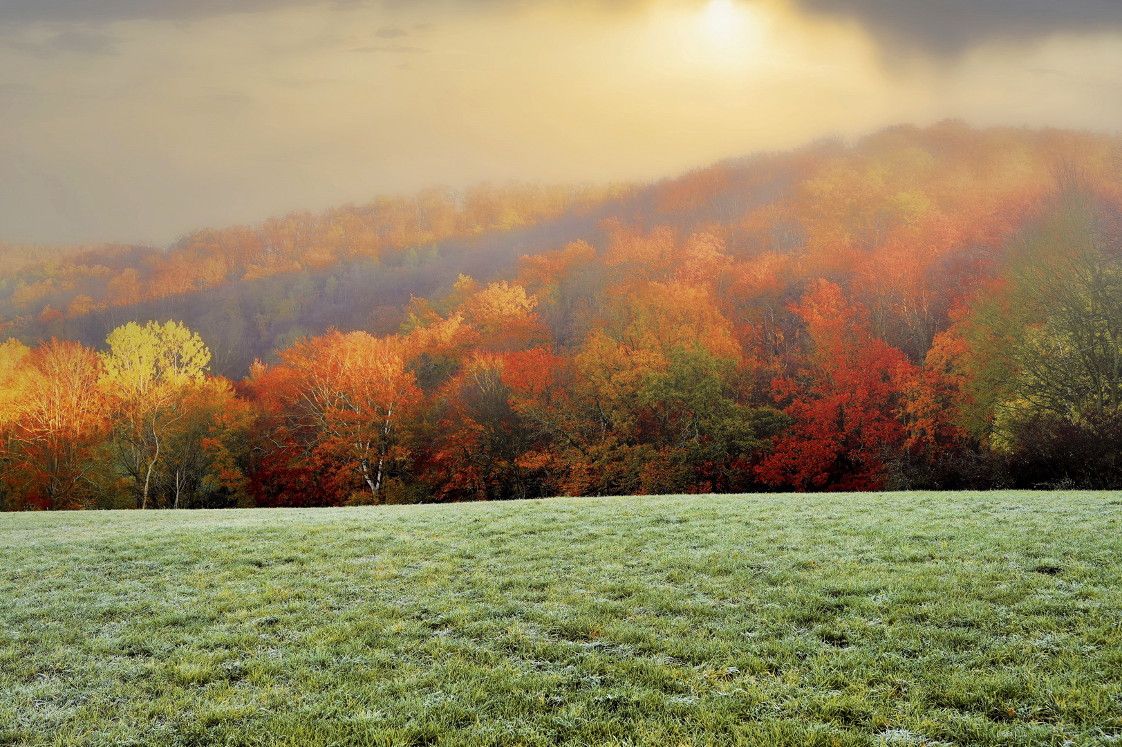 Herbst und Nebel 