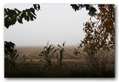 Herbst und Nebel