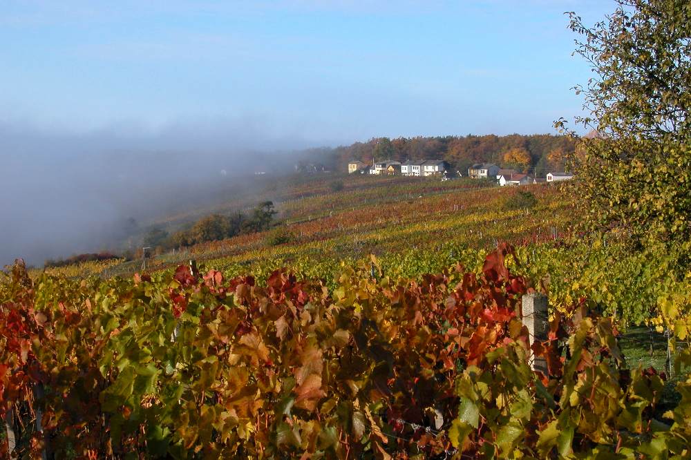 Herbst und Nebel im Anmarsch