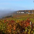 Herbst und Nebel im Anmarsch