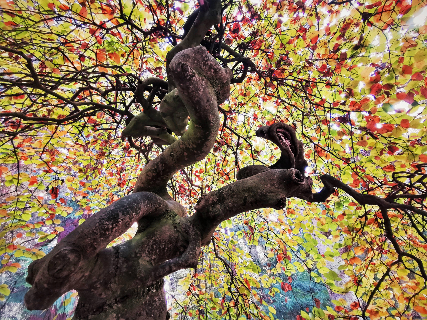 Herbst- und Schlangenkopf-Foto zugleich