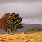 Herbst und Sommer