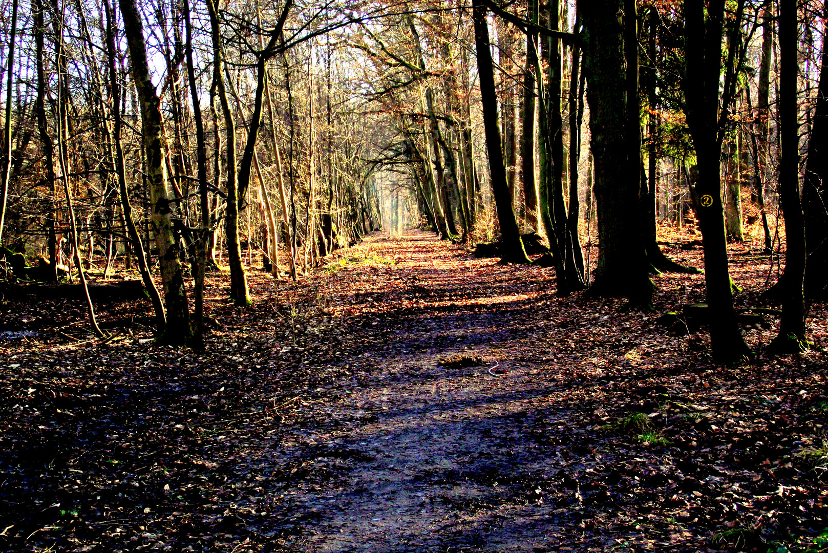 Herbst und Sonne