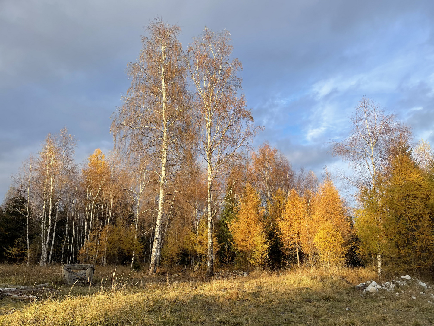 Herbst und Sonne 