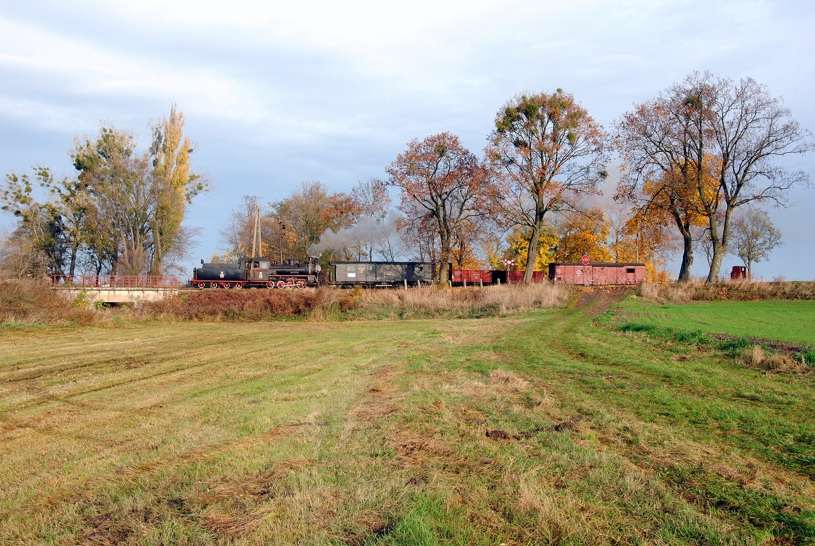 Herbst und Sonne satt in Snieciska