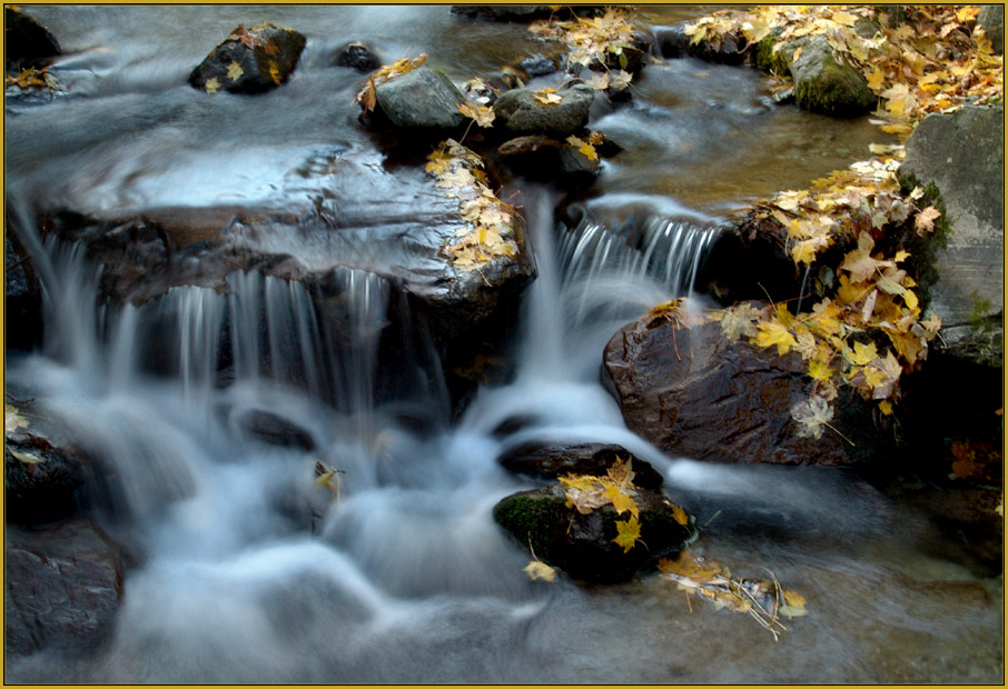 Herbst und Wasser