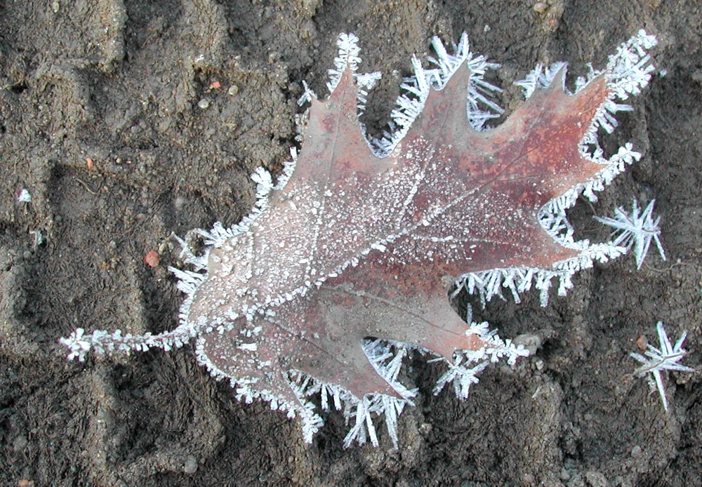 Herbst und Winter