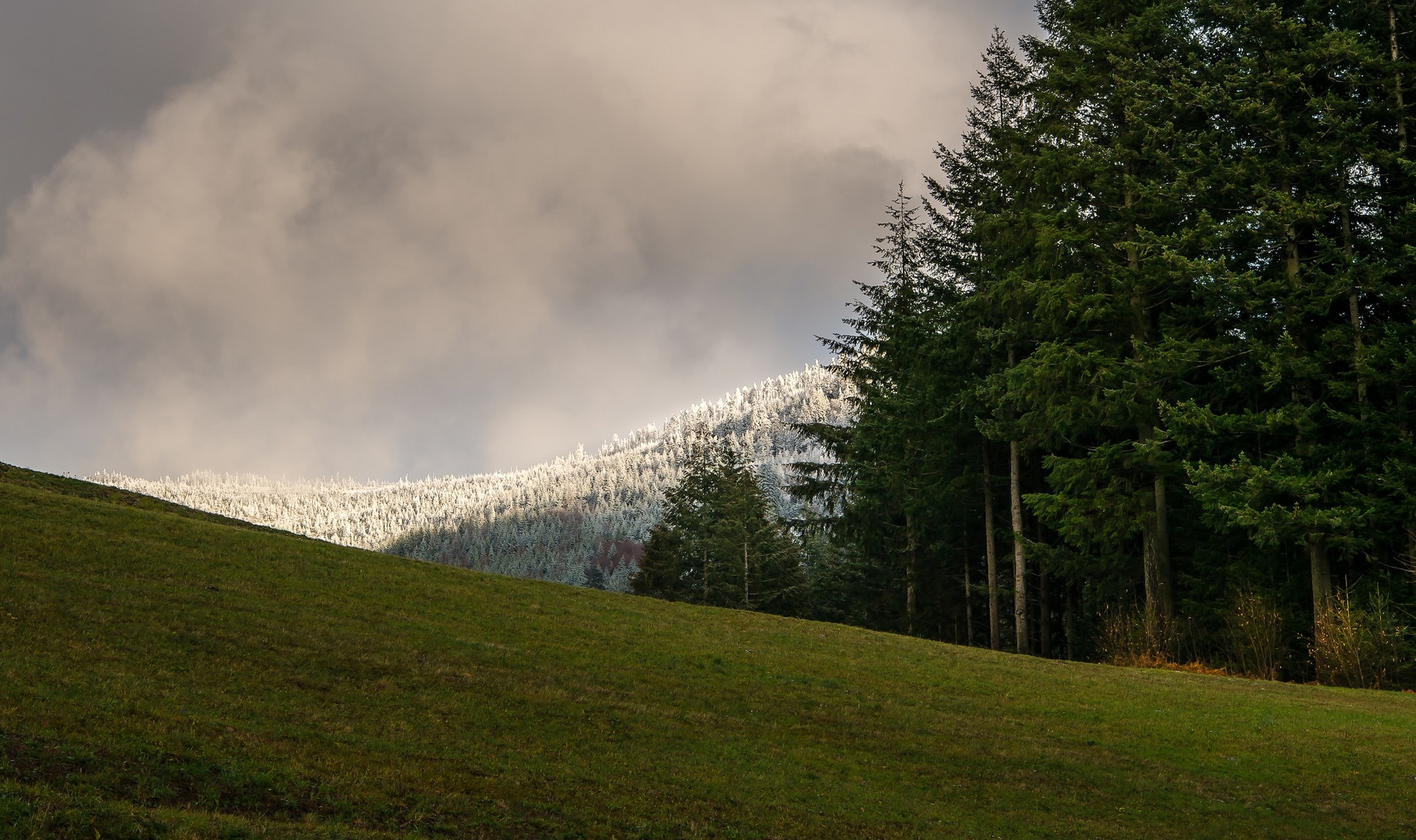 Herbst und Winter.