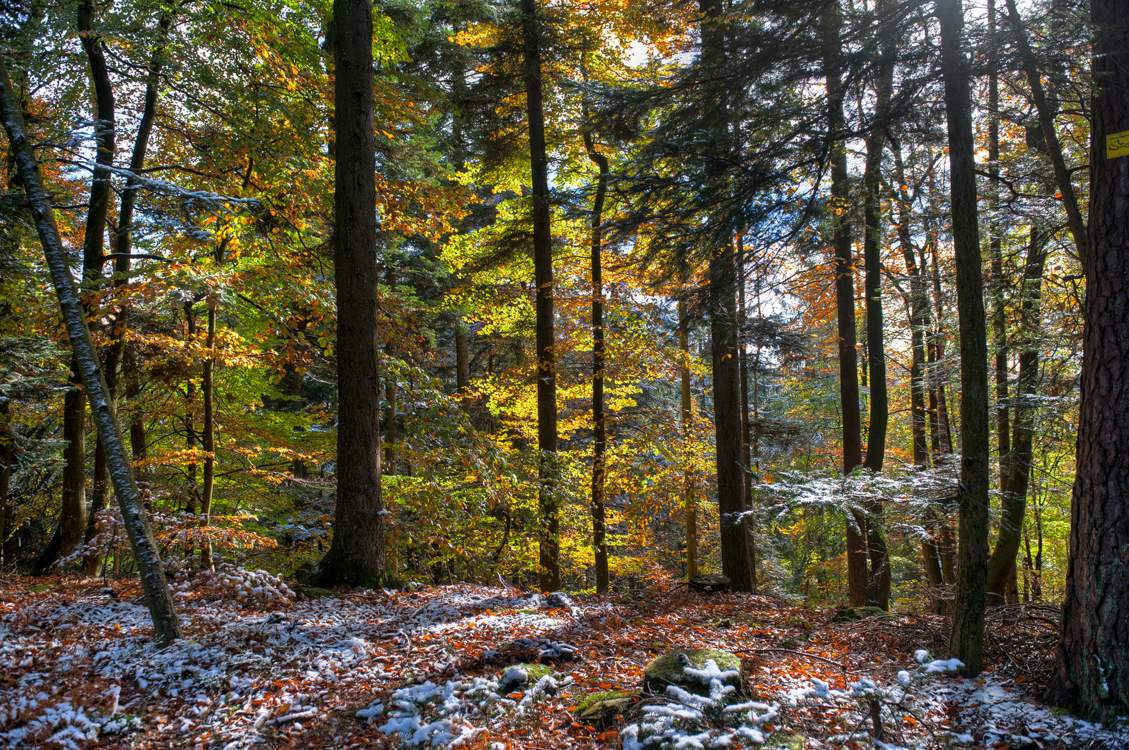 Herbst und Winter