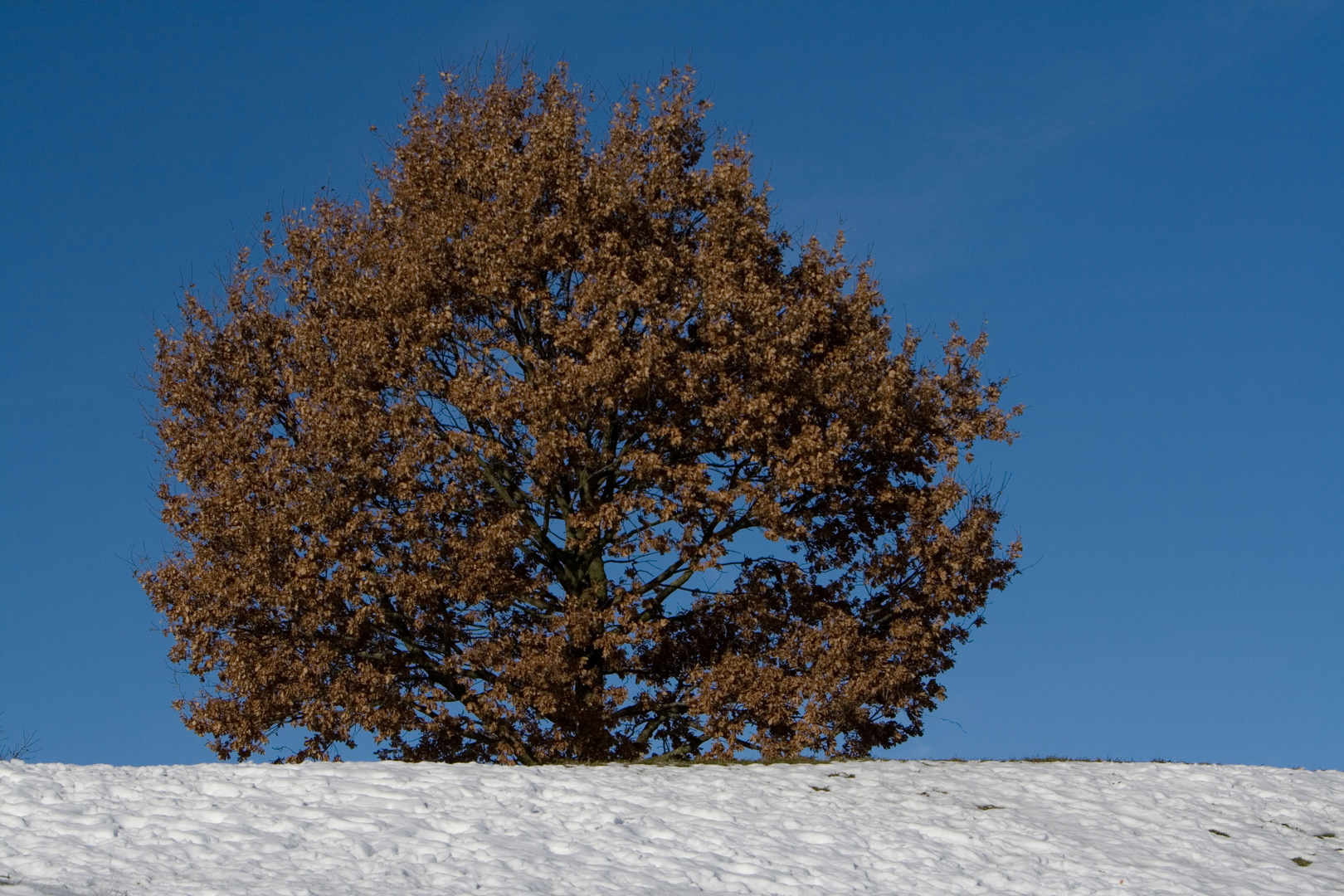 Herbst und Winter