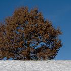 Herbst und Winter