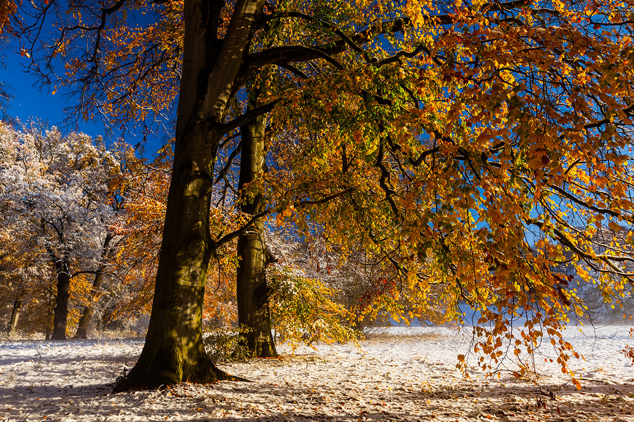 Herbst und Winter