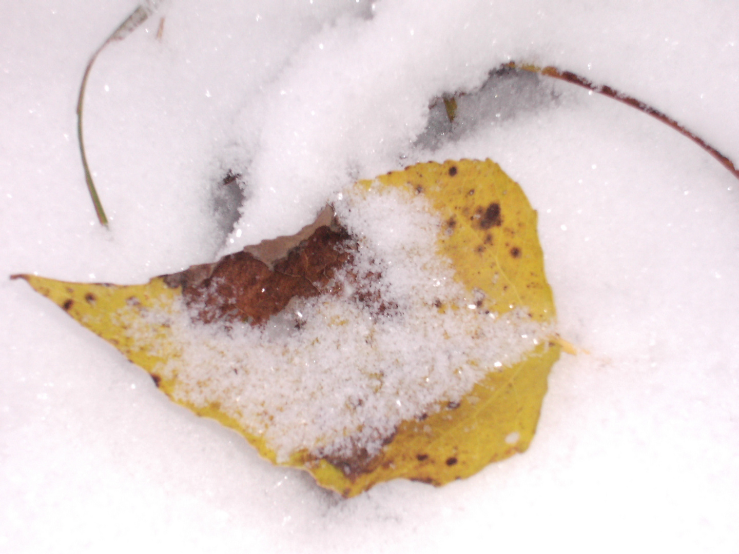 Herbst und Winter