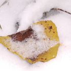 Herbst und Winter