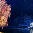 Herbst und Winter am Lunzer See