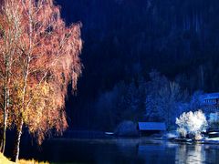 Herbst und Winter am Lunzer See