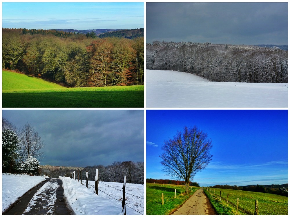 Herbst und Winter auf Wuppertals Höhen