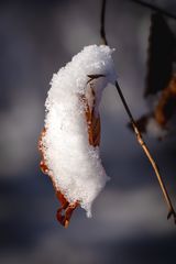 Herbst und Winter