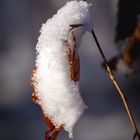 Herbst und Winter