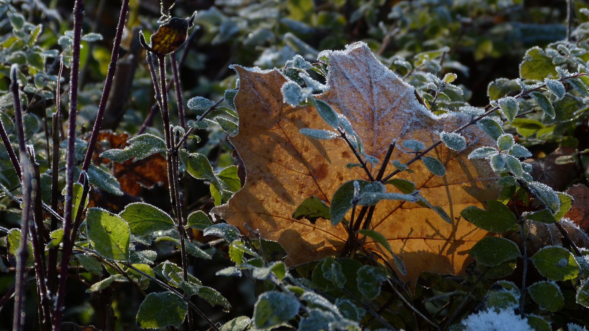 Herbst und Winter begegnen sich...