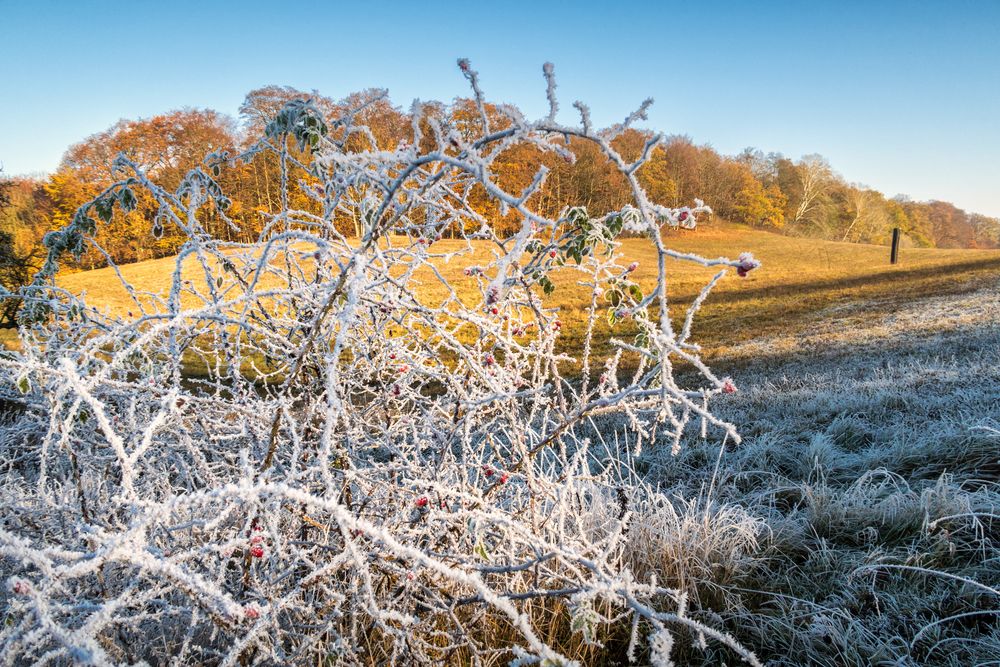 Herbst und Winter