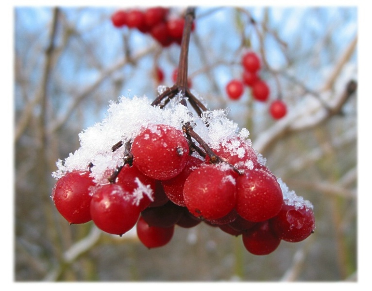 Herbst und Winter gehen auf Tuchfühlung