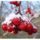 Herbst und Winter gehen auf Tuchfühlung