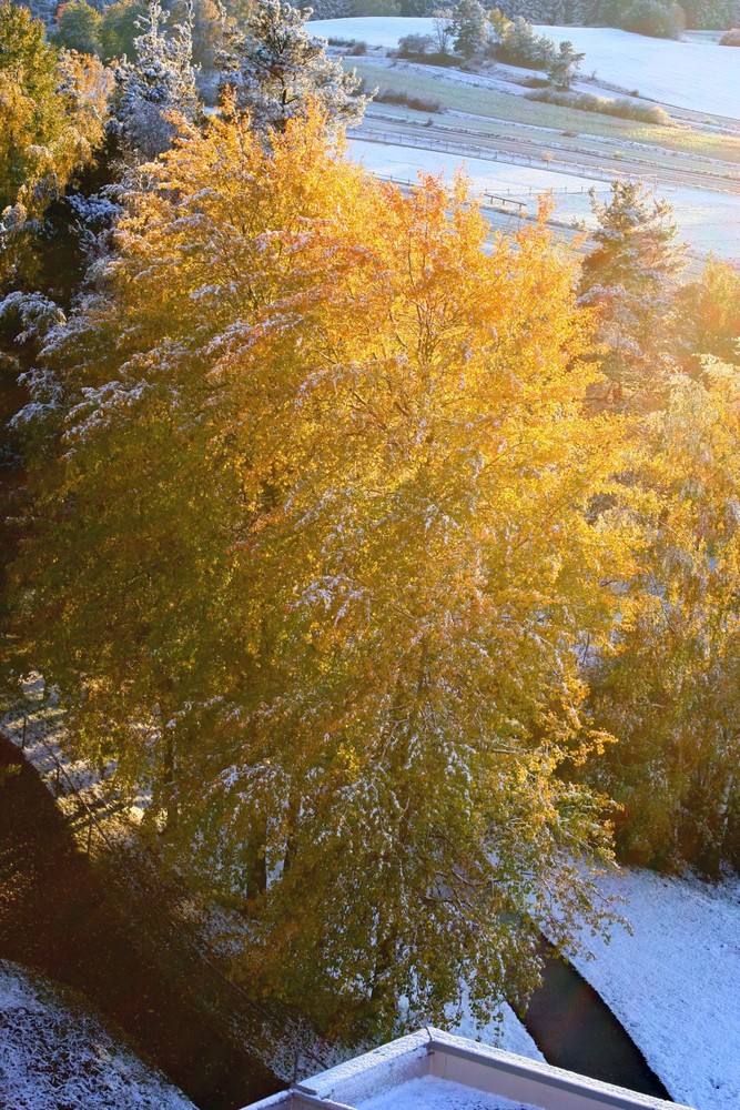 Herbst und Winter gleichzeitig!