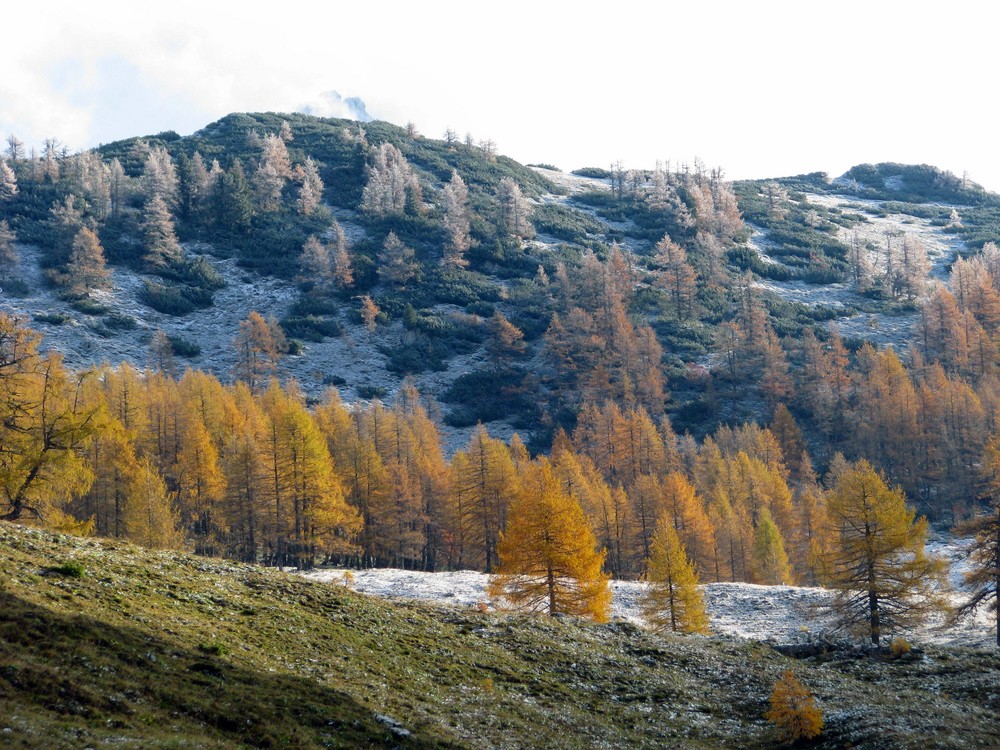 Herbst und Winter treffen aufeinander