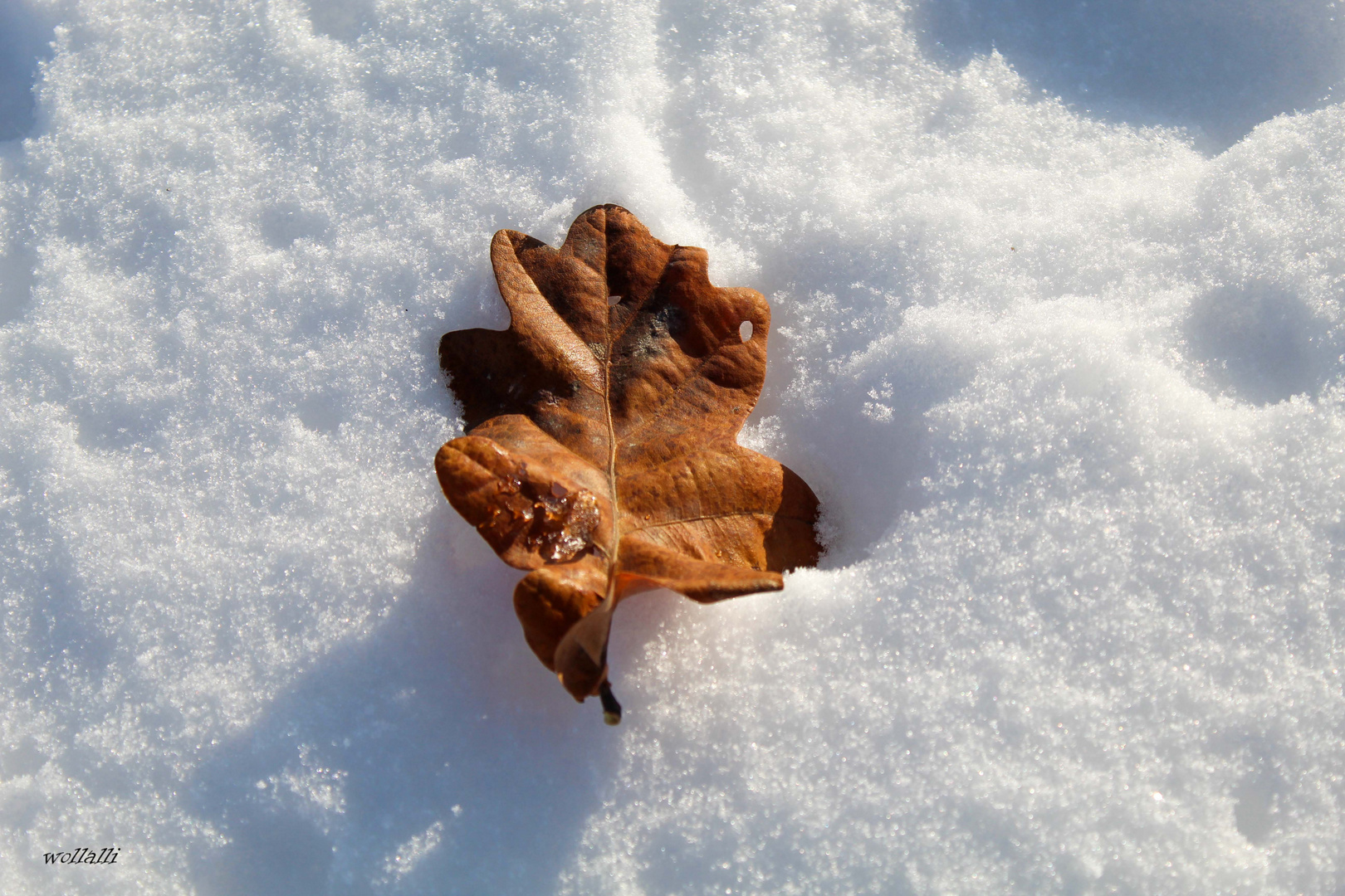 Herbst und Winter treffen zusammen