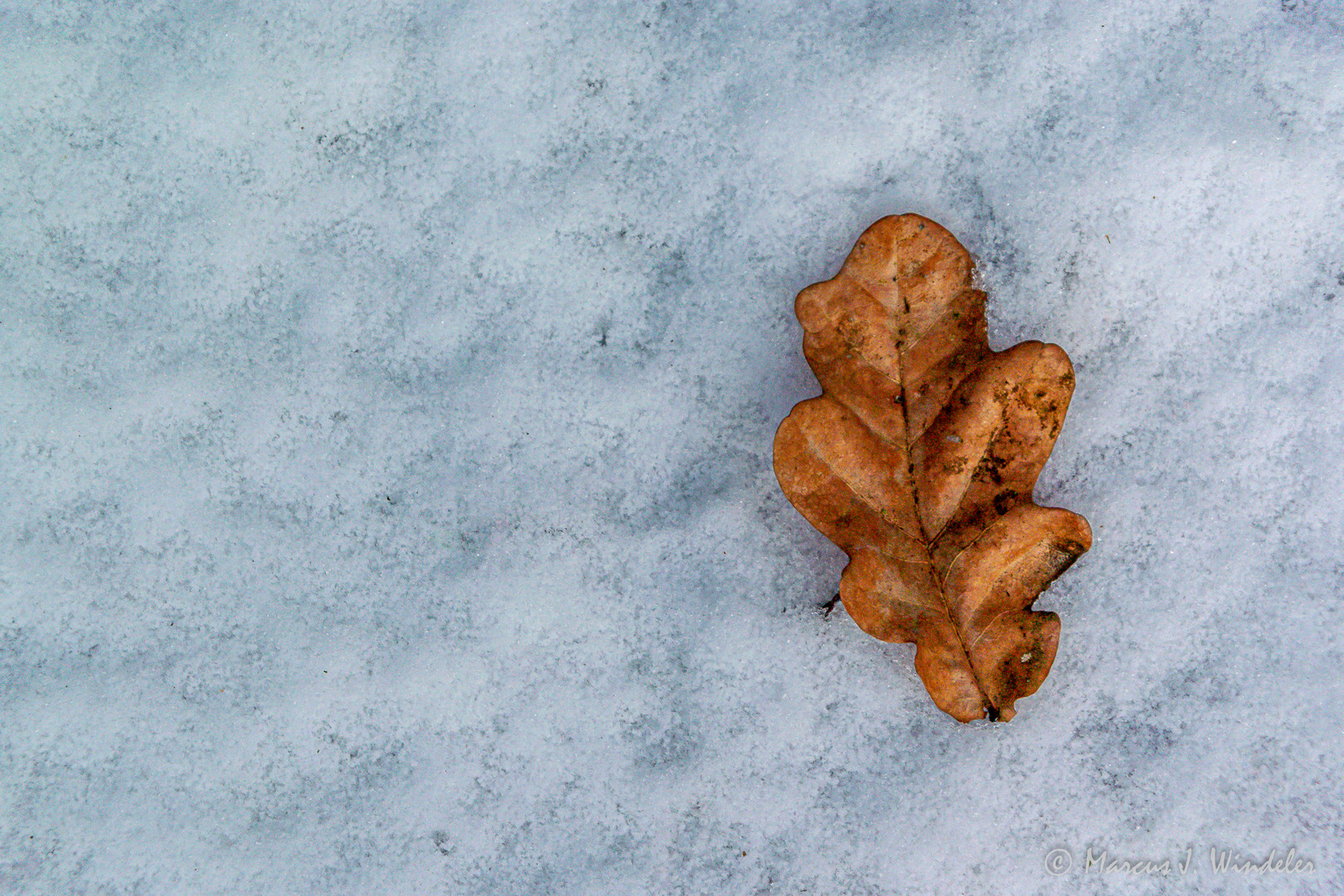 Herbst und Winter vereint