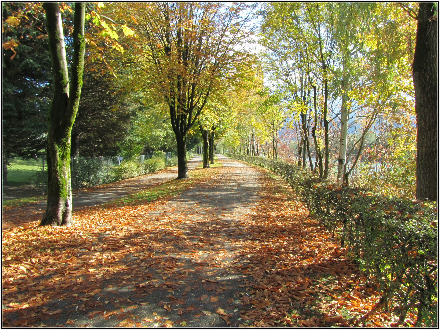 Herbst, unser größter Kunstmaler