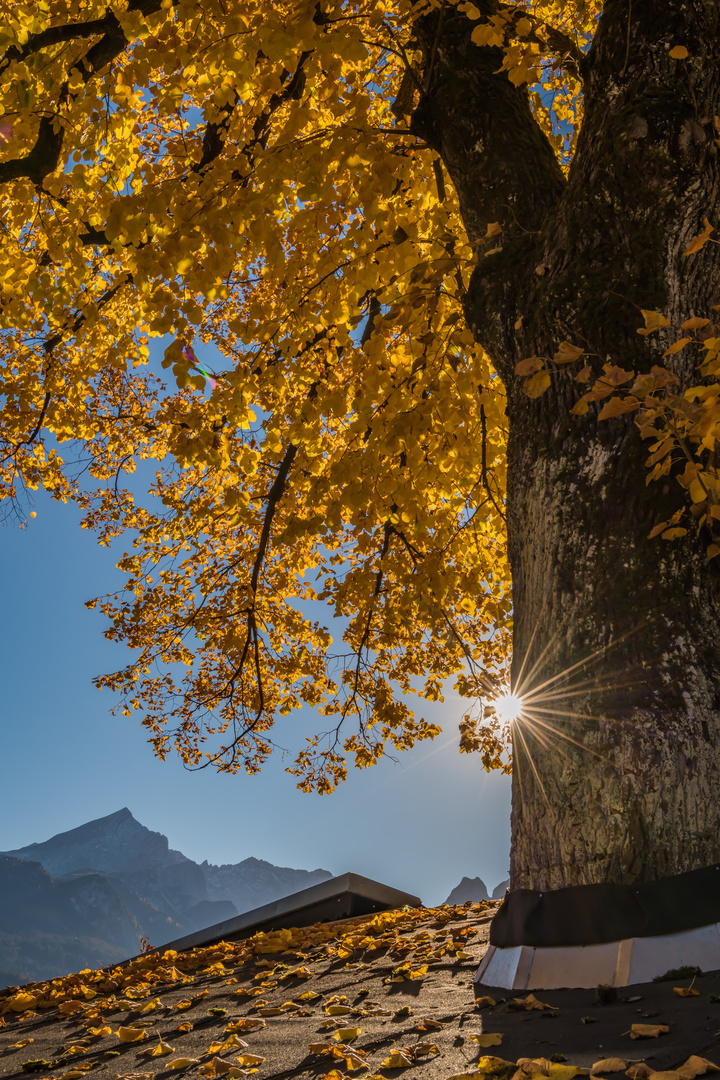 Herbst unter der Alpspitze