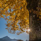 Herbst unter der Alpspitze