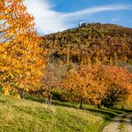 Herbst unter Teck