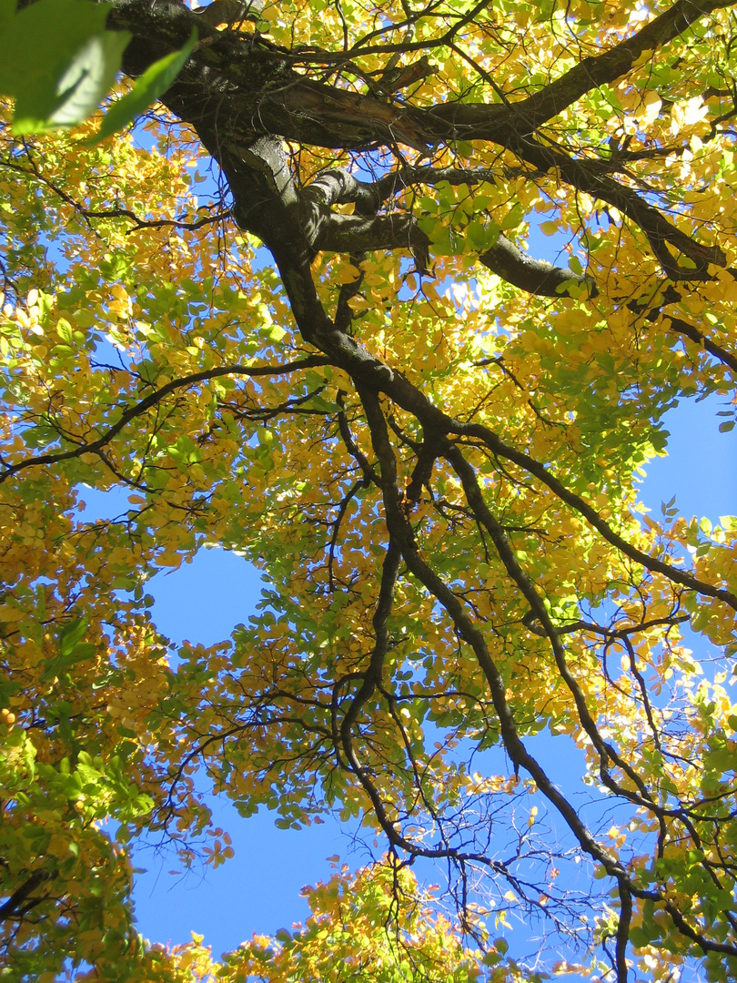 Herbst unterm bayrischen Sonnenhimmel