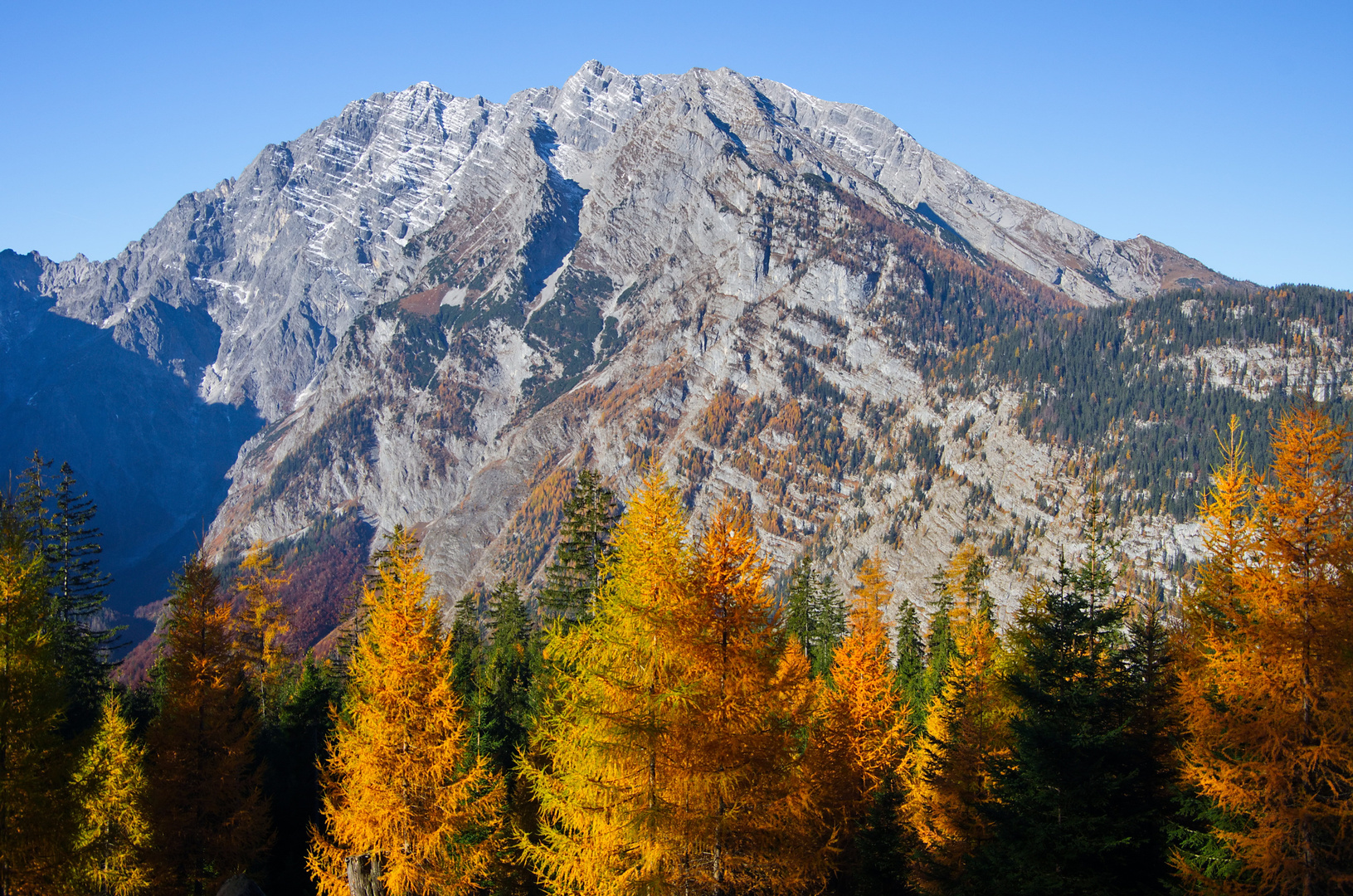 Herbst unter´m Watzmann