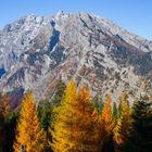 Herbst unter´m Watzmann