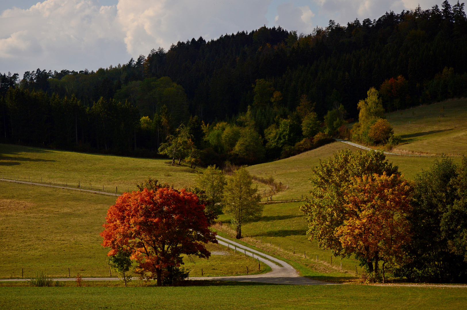 Herbst unterwegs 