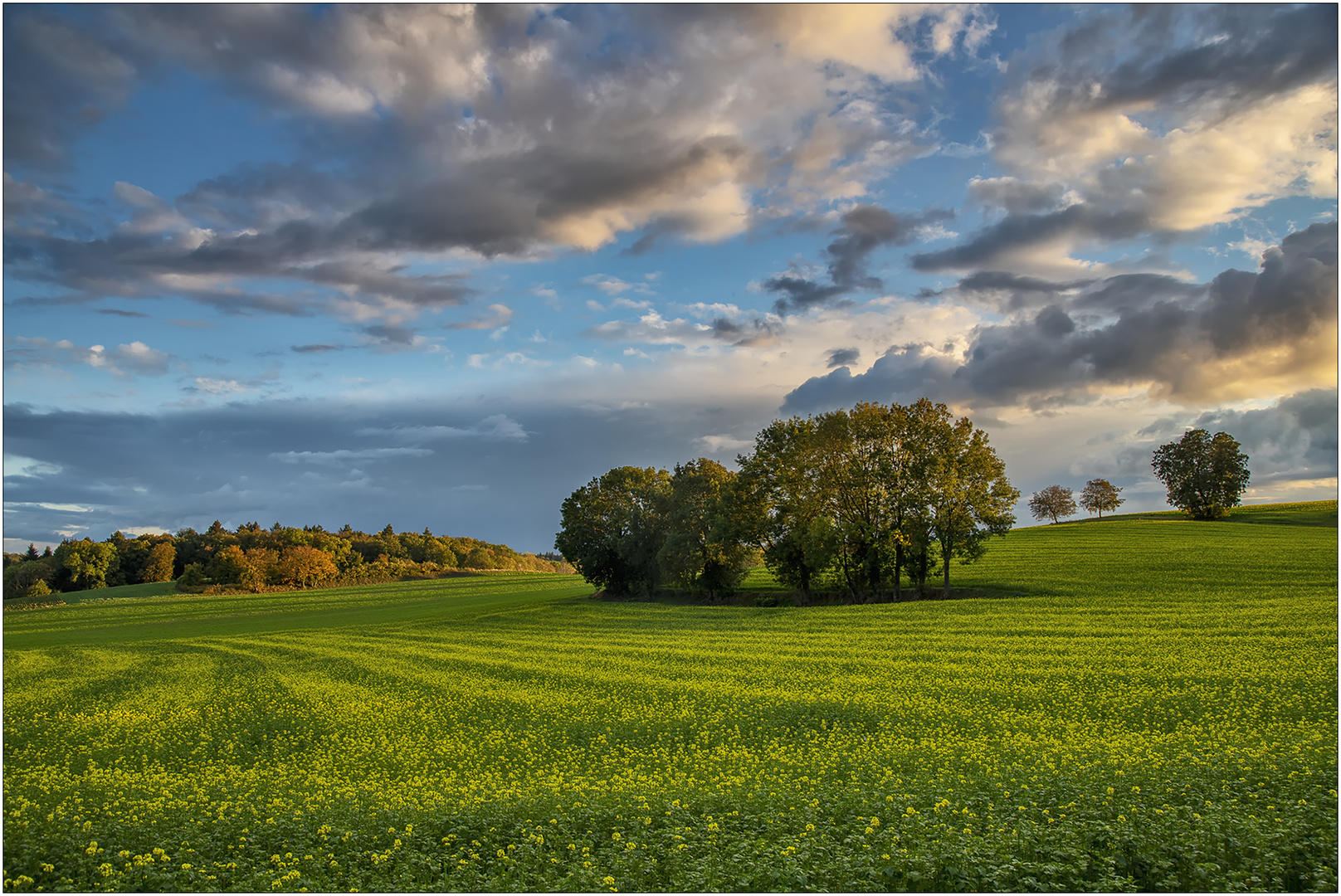 Herbst-Variation