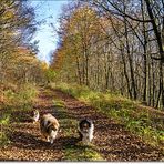 ~ Herbst- Vergnügen ~